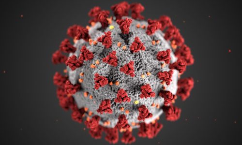 Coronavirus: Ihr Recht und die Gesundheit sind unsere Priorität!